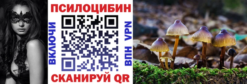 где продают наркотики  Зверево  Псилоцибиновые грибы Magic Shrooms 